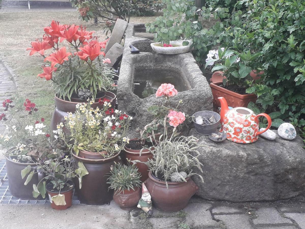 הינטרהרמסדורף Sommerfrische מראה חיצוני תמונה